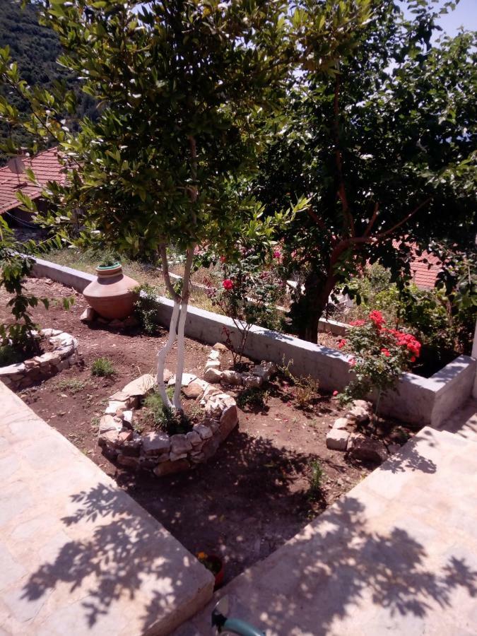 Dimitra'S Garden Villa Kallirakhi Exterior photo